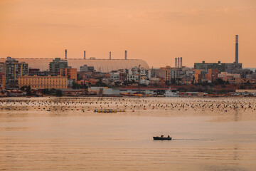 Fishermen rowing boat on Taranto sea