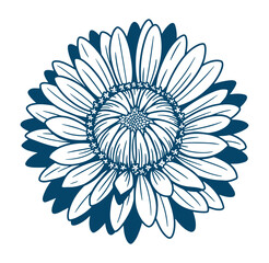 Intricate blue and white floral illustration of a daisy blossom isolated on white