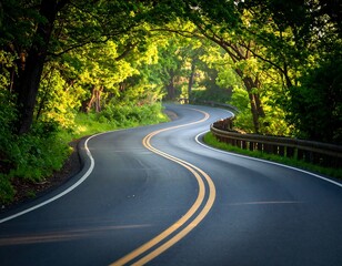 Obraz premium Winding road through a lush forest (1)