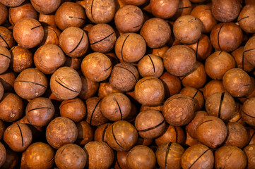 Delicious macadamia nuts as a background, top view. A large number of macadamia nuts in shell but with a hole for opening, fresh harvest