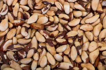 Many delicious Brazil nuts as background, top view. A backdrop for advertising nuts and dried fruits.