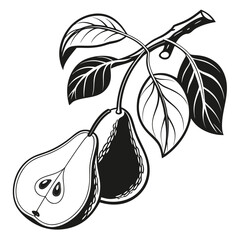 pear with leaf
