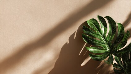 A single, vibrant green leaf with prominent veins rests on a pale beige background, dramatically cast in sunlight creating long shadows