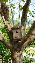 산책로 옆 작은 새집