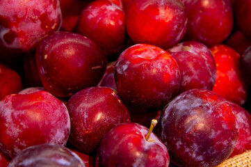 Delicious organic plums at a local market. Close-up of fresh fruit at a farmers market