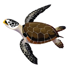 Fototapeta premium Illustration of a Kemp's ridley sea turtle swimming, with brown shell and black and white flippers.