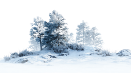 Cinematic Lighting Winter Snow Scene with Trees and Frosty Landscape on White Background