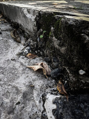 Dry leaves scattered near old concrete wall