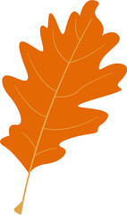 long autumn maple leaf