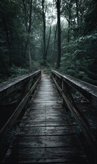 Obraz premium A rustic wooden footbridge stretches into a dark, misty forest, the path ahead disappearing into the verdant depths. The wood is weathered, showing its age