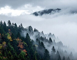 Misty mountain range with autumn foliage