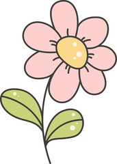 pink flower on white background