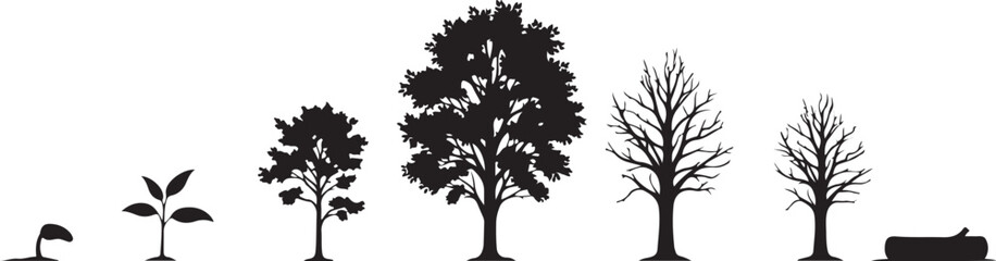 “Tree Growth Vector Illustration Set – Black and White Silhouettes of Seedling, Sapling and Mature Tree Showing Life Cycle, Development, Ecology, Sustainability, Business Growth