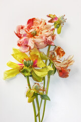 A close-up of a faded bouquet of peonies in different shades, the natural beauty of a still-life composition.