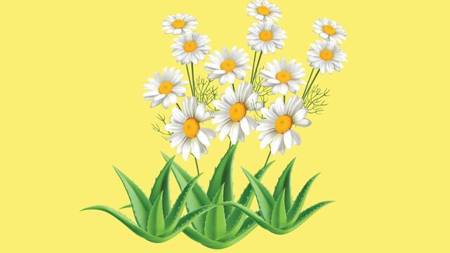 draw bunch of sunflower decorate with joining green aloe-vera leaf in circular shape on yellow screen background
