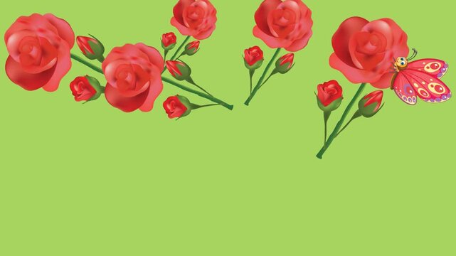 draw series of red rose flower decorate with bud and colourful butterfly on green screen background
