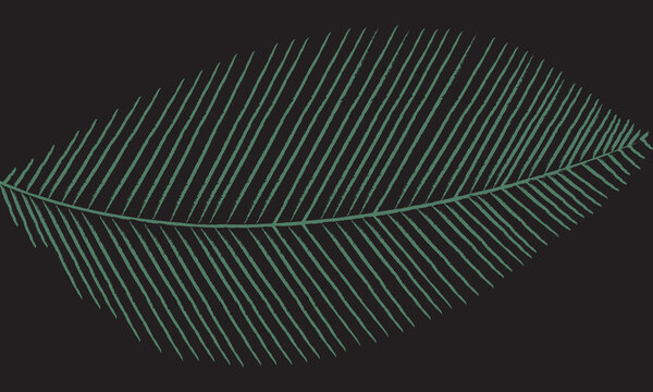 Black and  green leaves on an abstract dark background