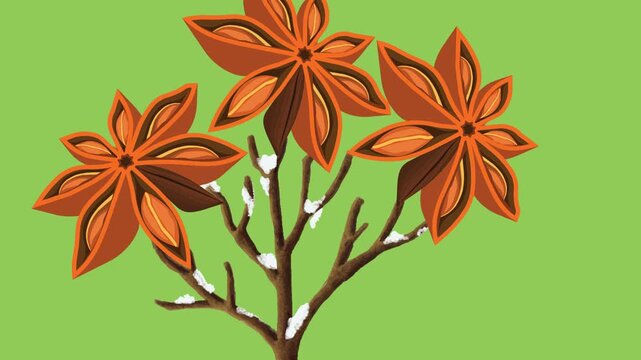 draw leafless tree decorate with brown flower on green screen background
