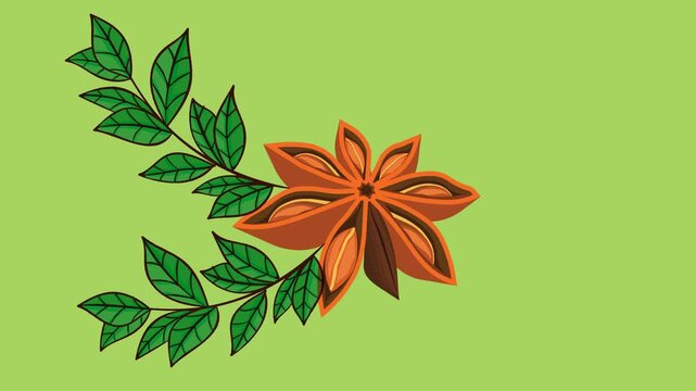 draw unique brown flower decorate with green leaf on green screen background
