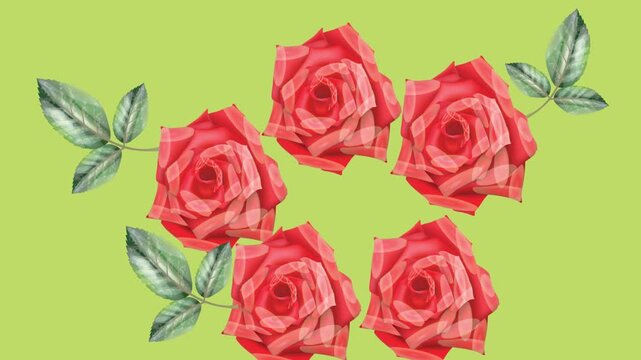 draw collection of red rose flower decorate with green leaf in round shape on green screen background
