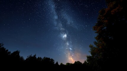 night sky full of stars above forest silhouette, Milky Way visible