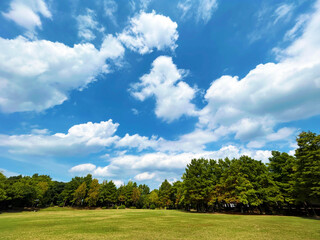 白い雲が浮かぶ青空と公園の広場