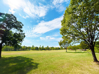 爽やかな青空と公園の広場