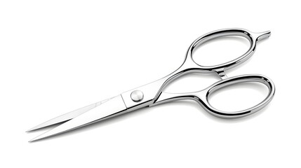 Fototapeta premium Stainless Steel Kitchen Scissors Isolated on White Background 