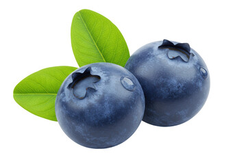 Isolated blueberry fruit with leaves is a flavorful berry with healthy nutrients, vitamins