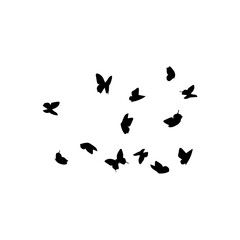 Silhouette of flying birds on white background. Inspirational body flash