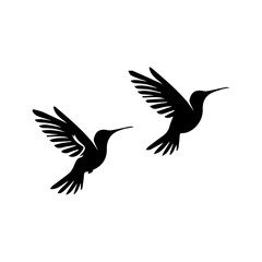 Silhouette of flying birds on white background. Inspirational body flash