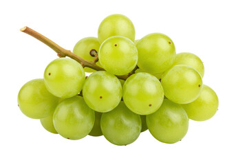 Isolated bunch of green grapes on stem, healthy fruit for snacking and making wine