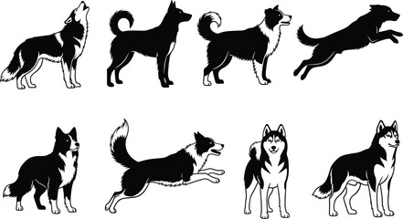 Vintage and Modern Camera Icons Set, Black and White Vector Design, Photography Equipment Collection, Digital and Film Cameras