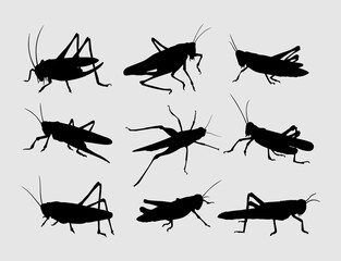 set of grasshopper insect silhouettes illustration