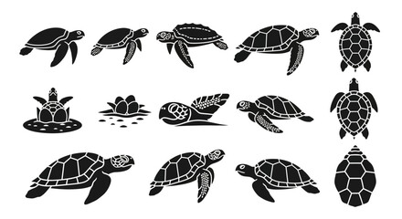 Expressive Sea Turtle Icons and Life Cycle Set