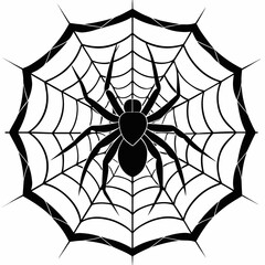 Obraz premium spider on web