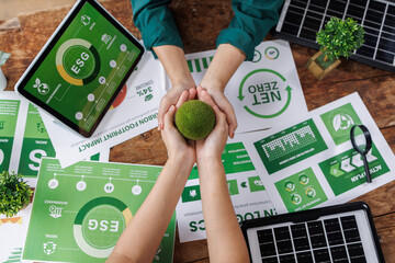 Global sustainable environment concept - ESG, net zero, eco, co2, carbon, human hand holding green globe orb with growing tree save our planet, world environment day, earth day and climate change
