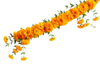 transparent png element isolated marigold flower isolated diwali dussehra vijayadashami navratri garland door entrance welcome