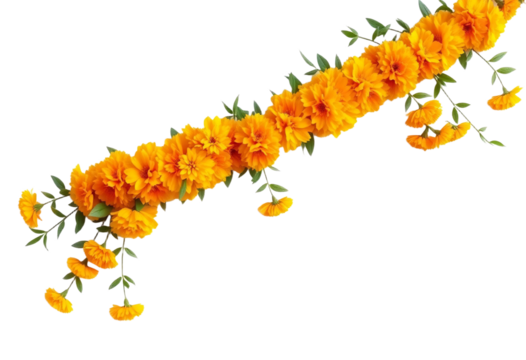 transparent png element isolated marigold flower isolated diwali dussehra vijayadashami navratri garland door entrance welcome
