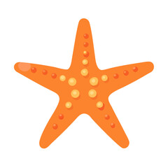 Colorful Starfish with Five Arms Colored Icon