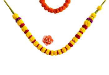 transparent png element isolated marigold flower isolated diwali dussehra vijayadashami navratri garland door entrance welcome