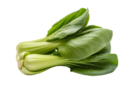 Fresh bok choy, a vibrant green vegetable with thick stems and broad leaves, ready for cooking. background removed
