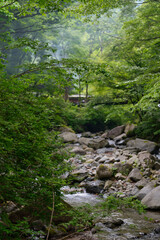 道志の森と道志川