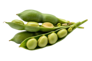 Fresh green broad beans in their pods, isolated on a transparent background. A healthy and nutritious legume. background removed