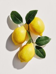 Three bright yellow lemons with vibrant green leaves attached to a small branch, arranged on a clean white background, casting a subtle shadow