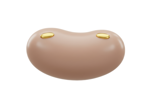 Isolated rendering of lima bean, smooth surface, subtle gold accents, minimalistic design