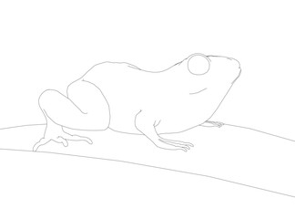 Frog contour line drawing on white background, black and white illustration, detailed body features, printable coloring page for kids.