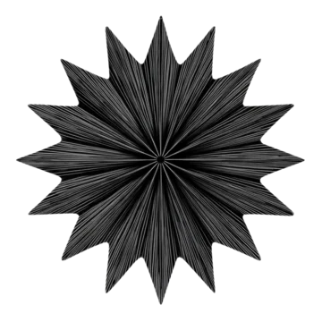 Thin lines forming a stylized starburst pattern on transparent background
