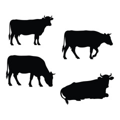 Four silhouette cows in different poses agricultural livestock farm animals collection silhouette