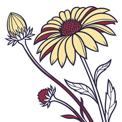 gaillardia gallo yellow with leaves